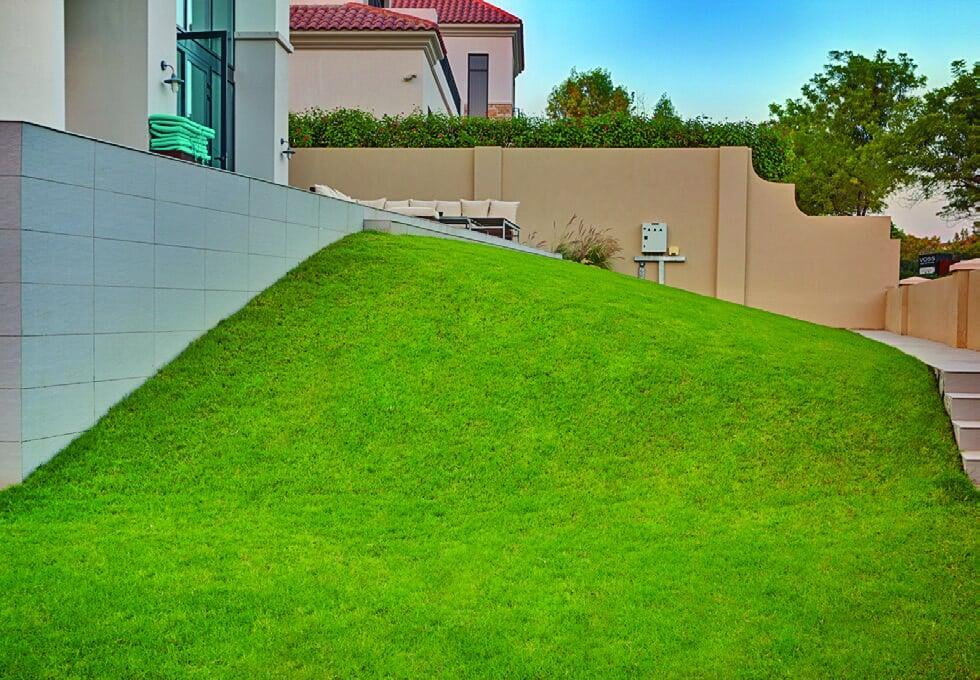 Natural and Artificial Grass