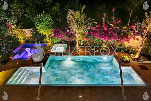 Residential Wet-Coping Pool with Spa